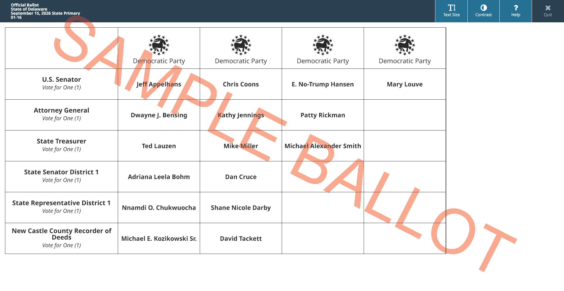 sample ballot screen