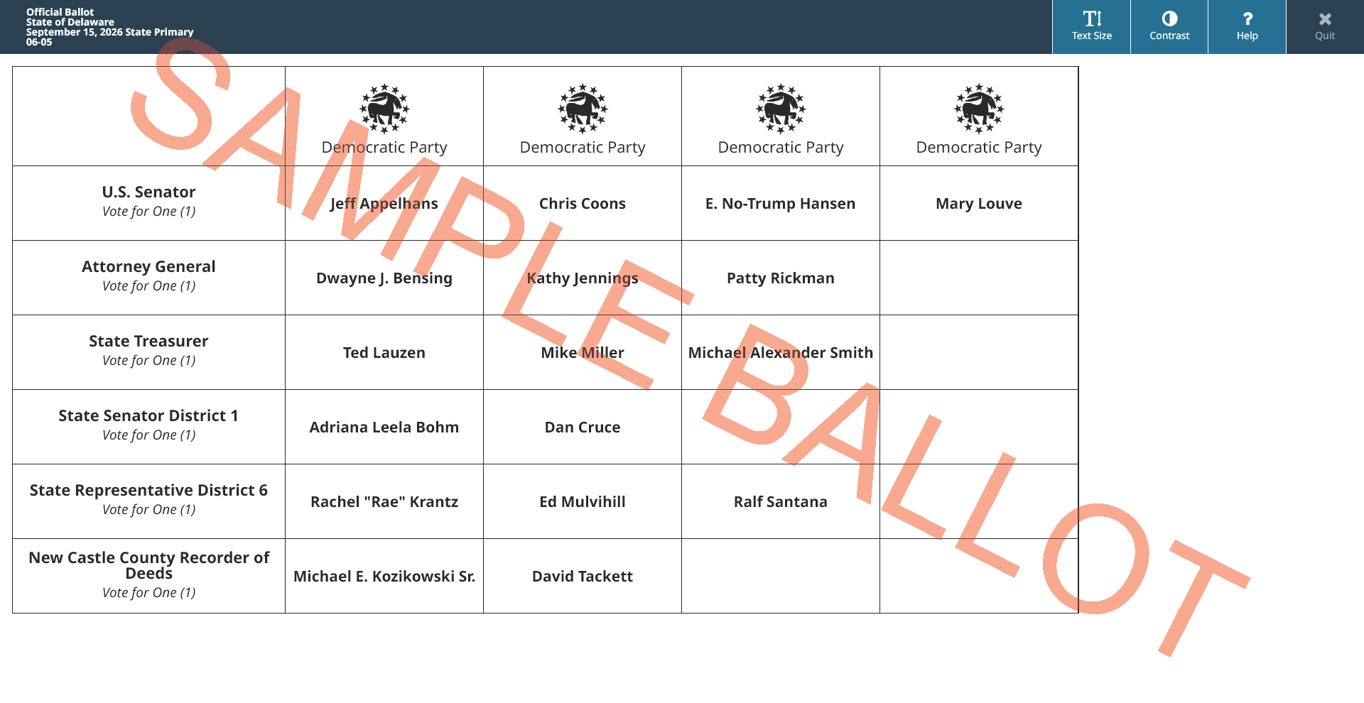 sample ballot screen