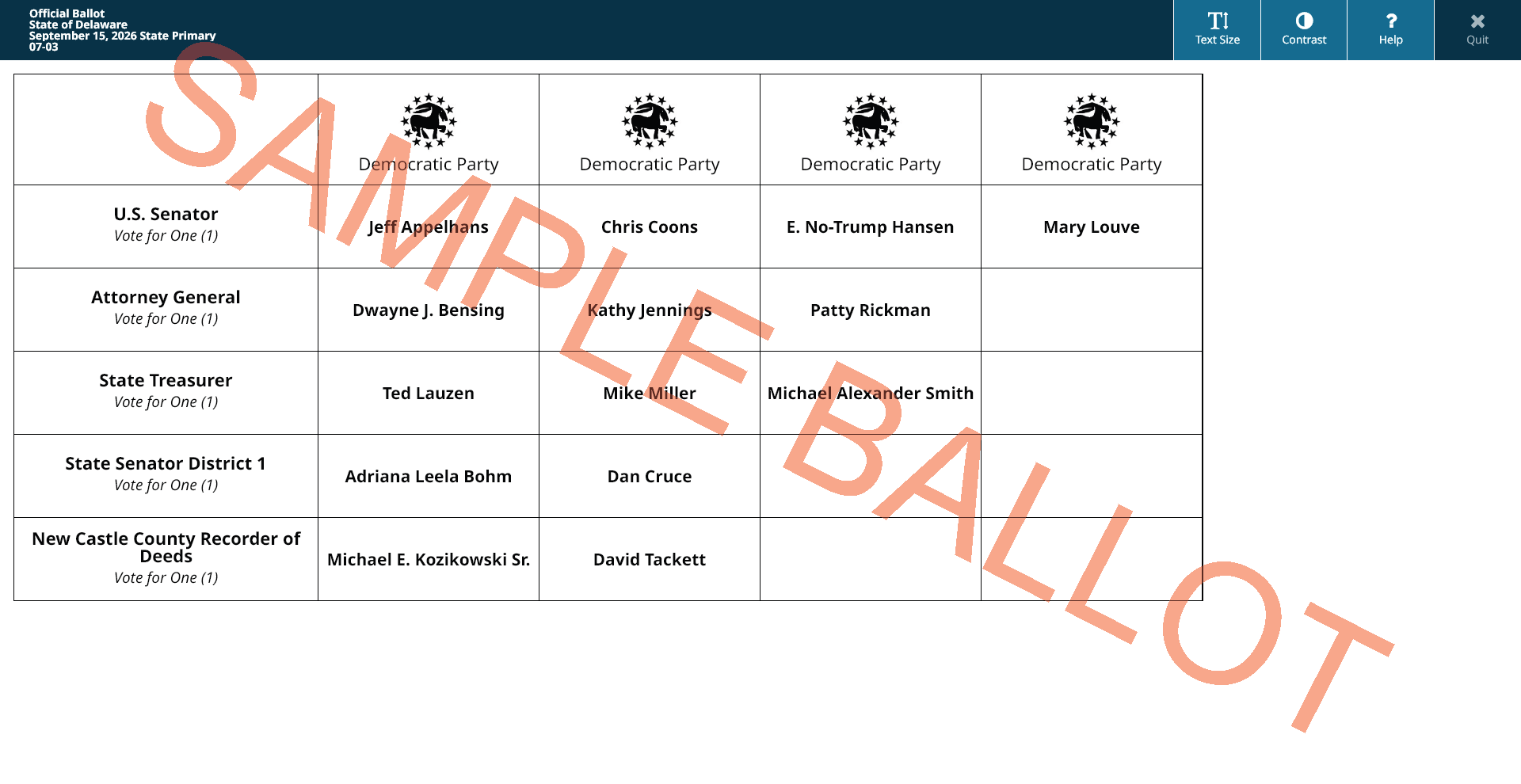 sample ballot screen