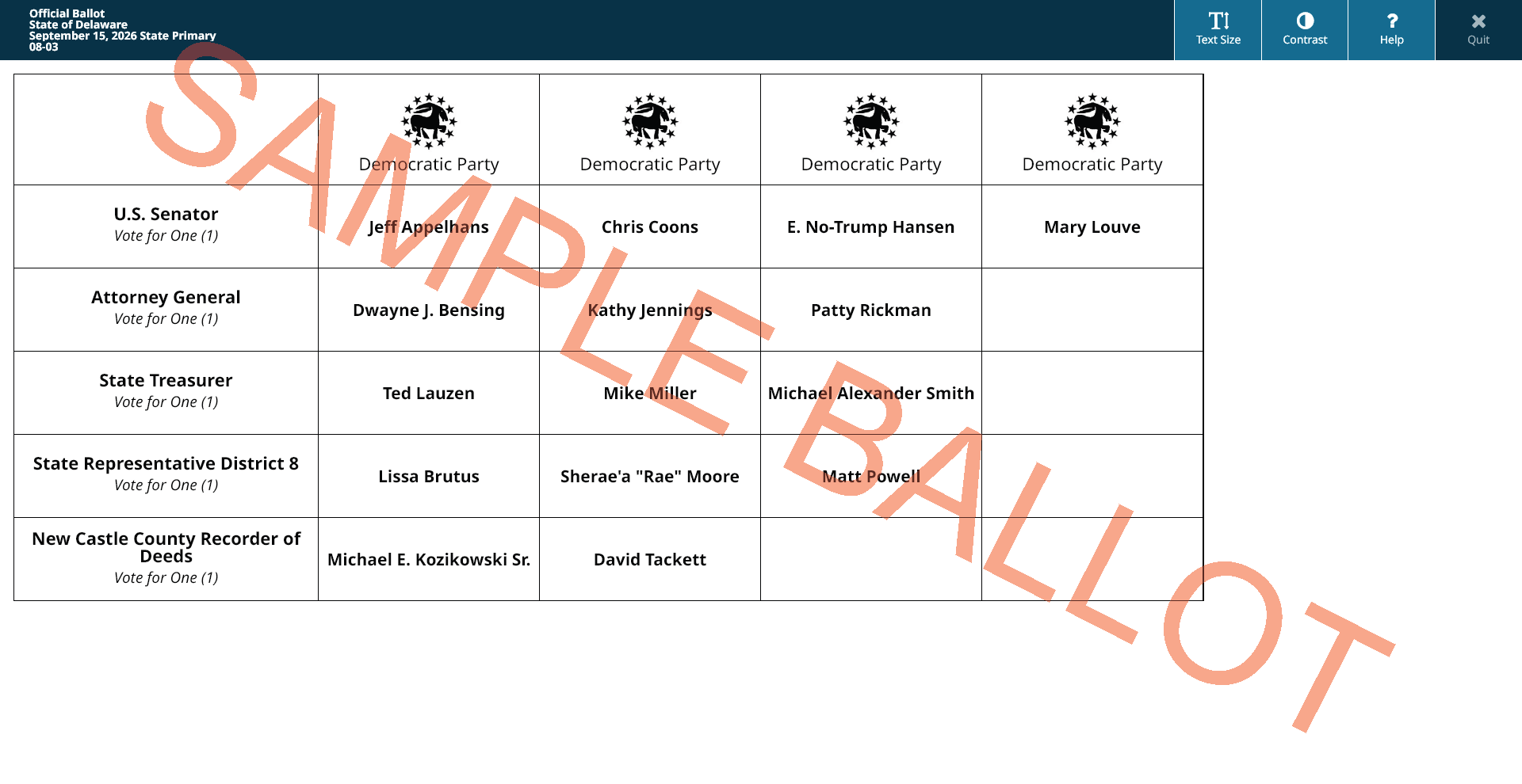 sample ballot screen