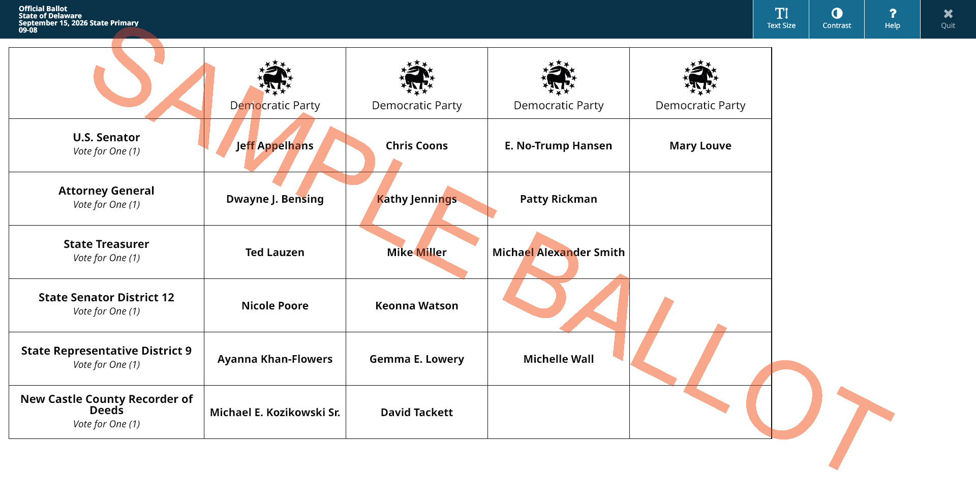 sample ballot screen