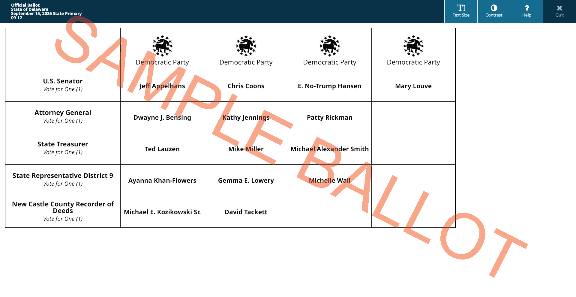 sample ballot screen