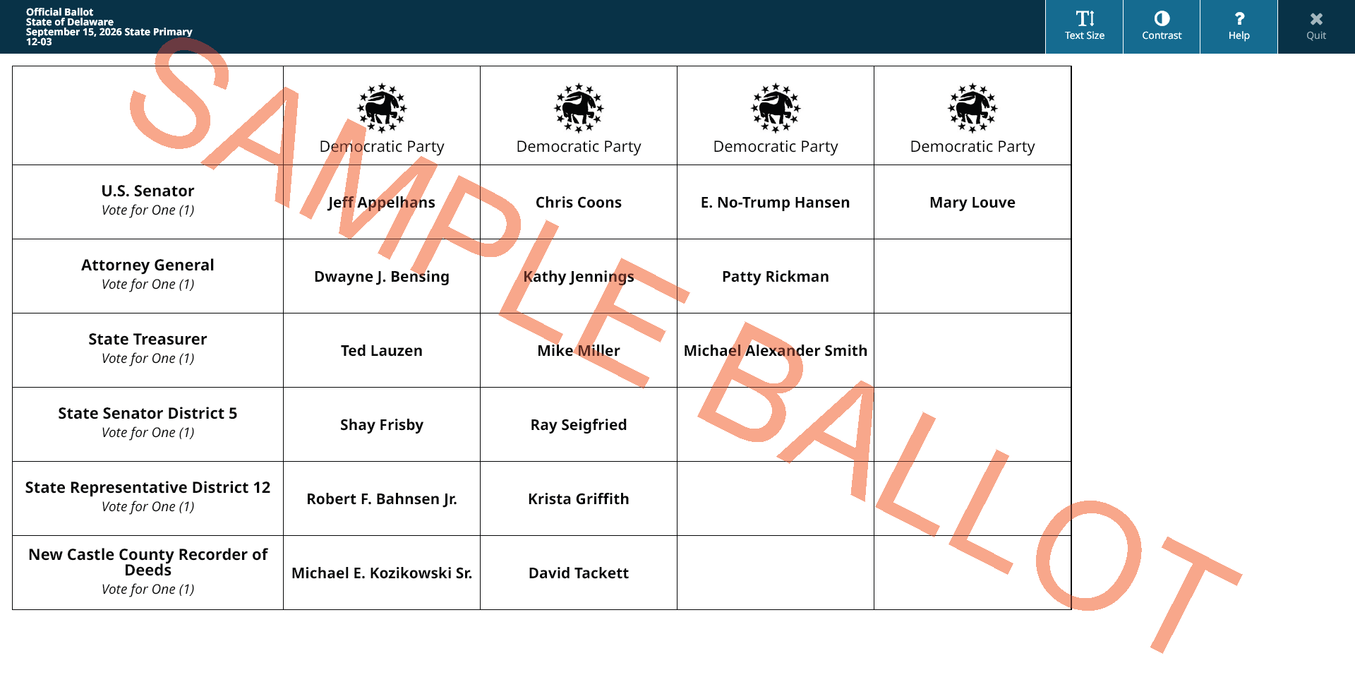 sample ballot screen