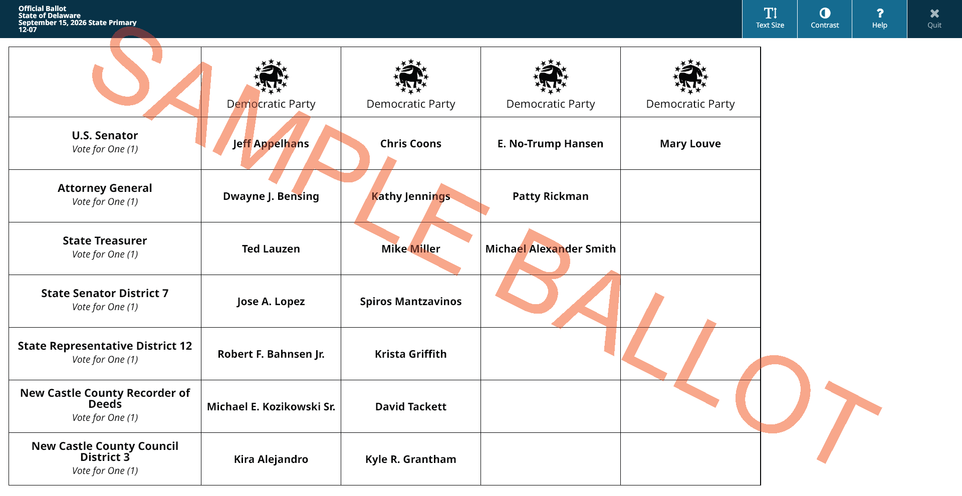 sample ballot screen