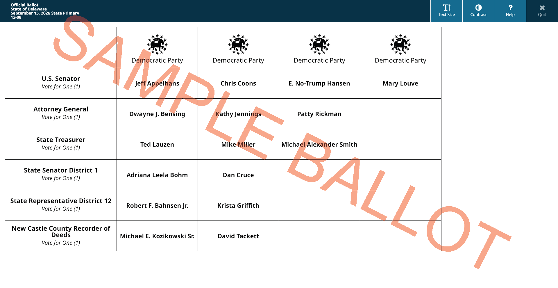 sample ballot screen