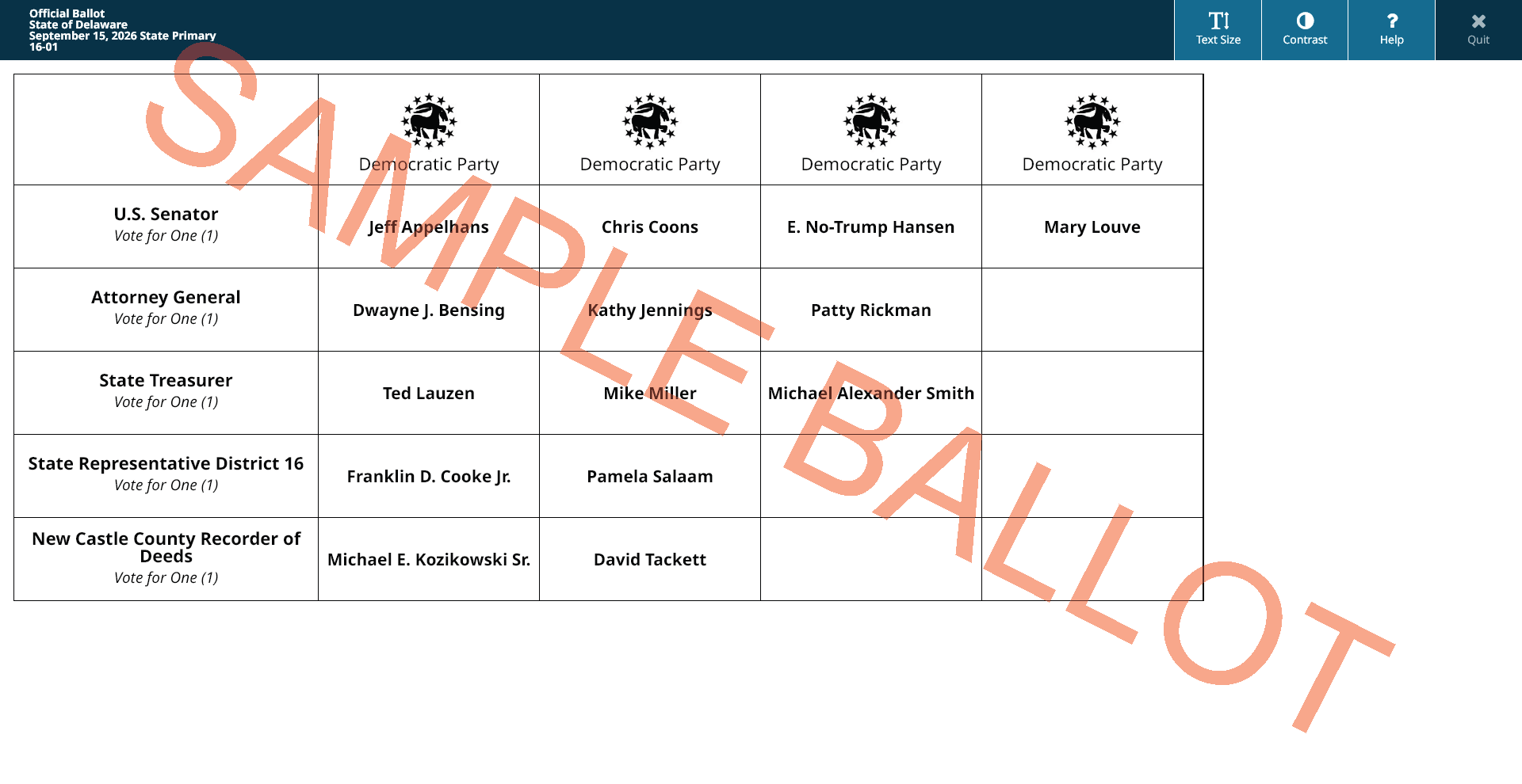sample ballot screen