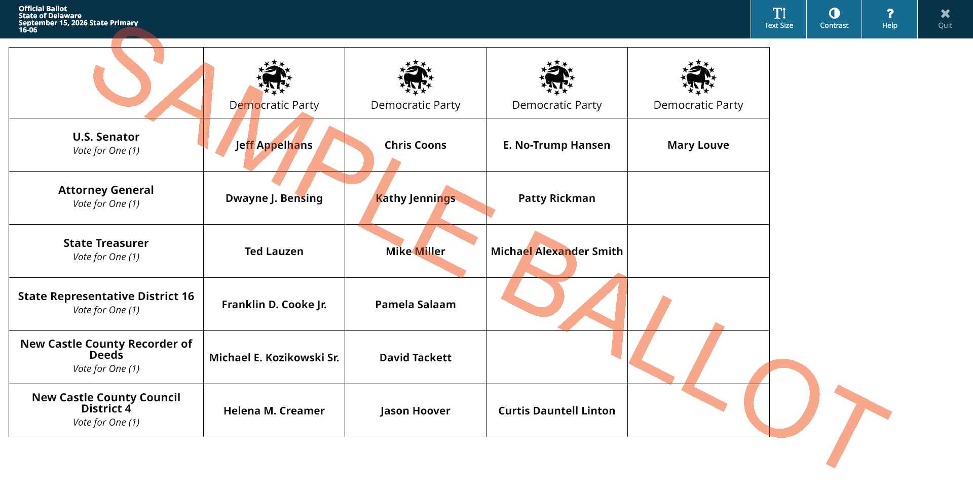 sample ballot screen