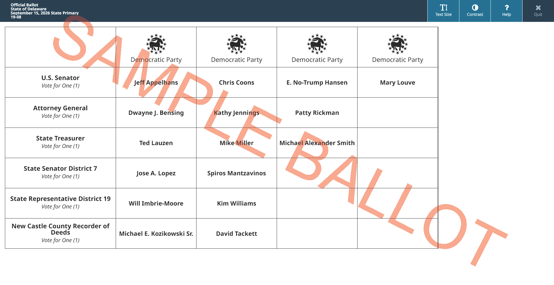 sample ballot screen
