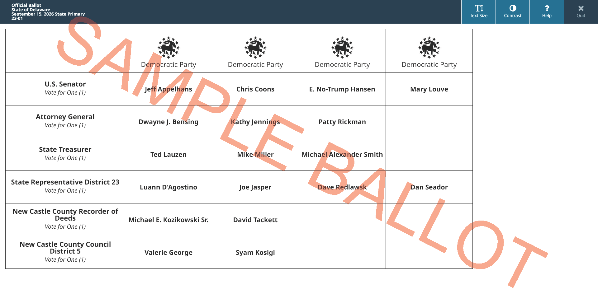 sample ballot screen