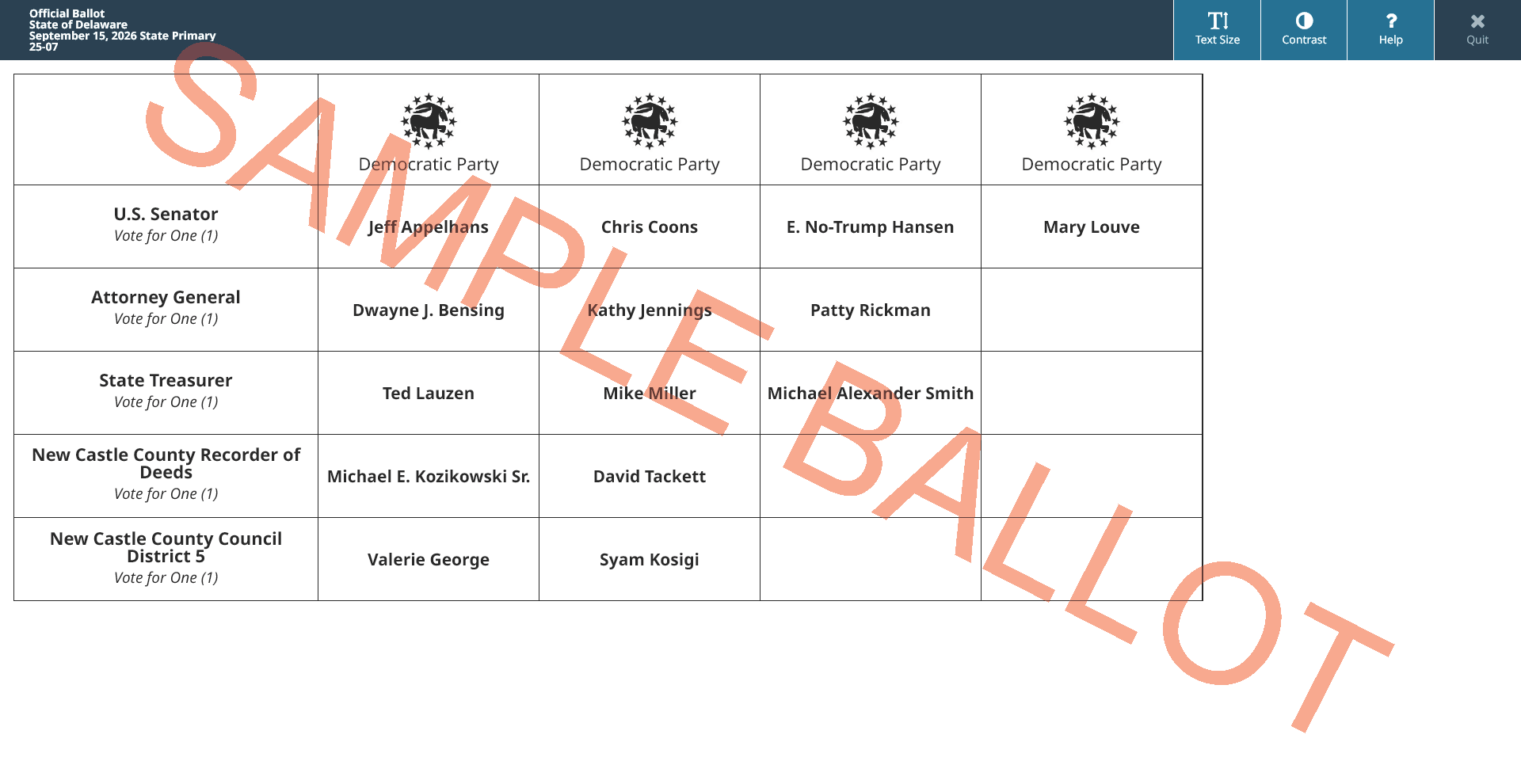 sample ballot screen