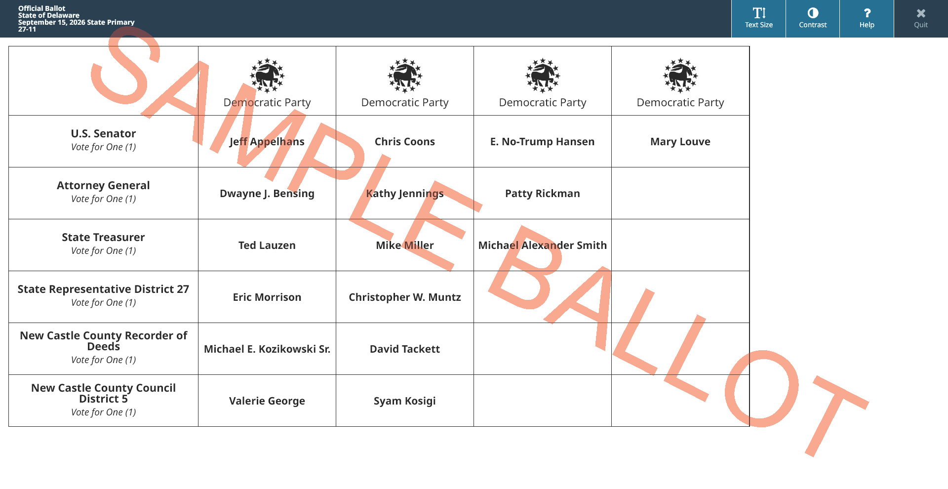 sample ballot screen