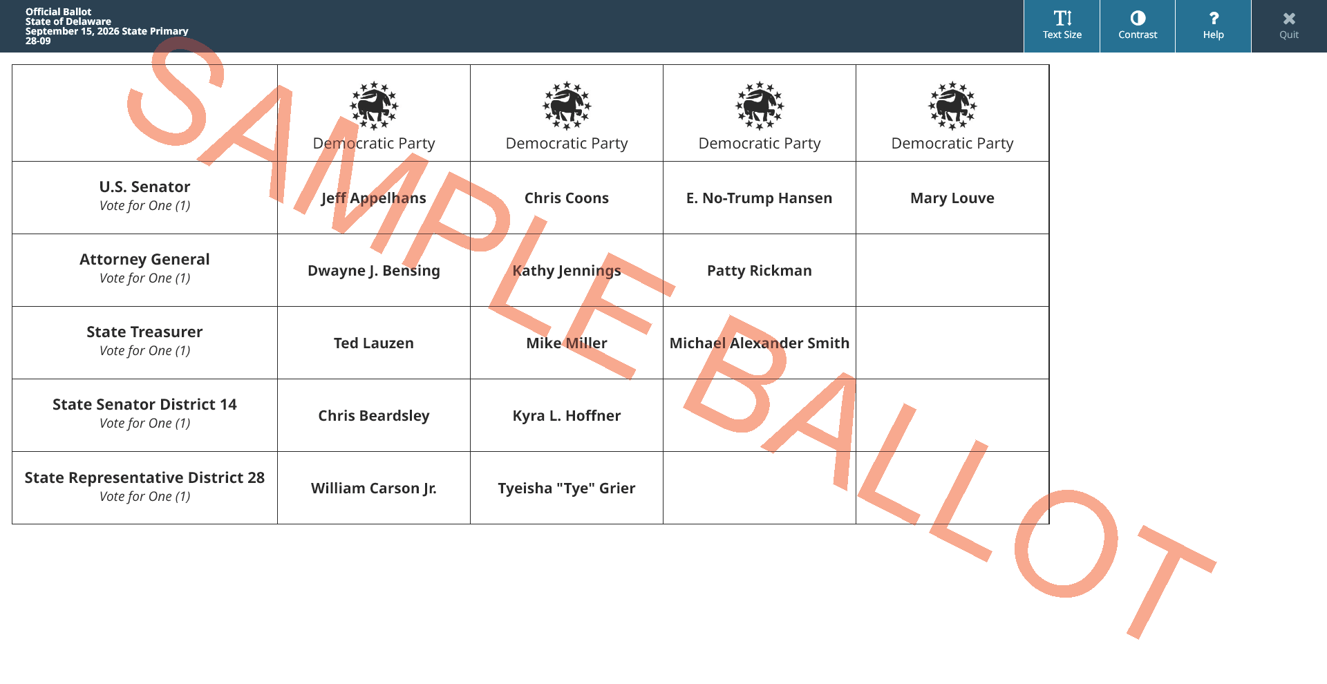 sample ballot screen