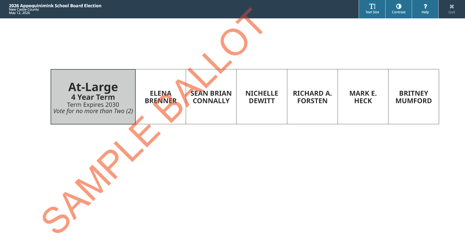 sample ballot screen