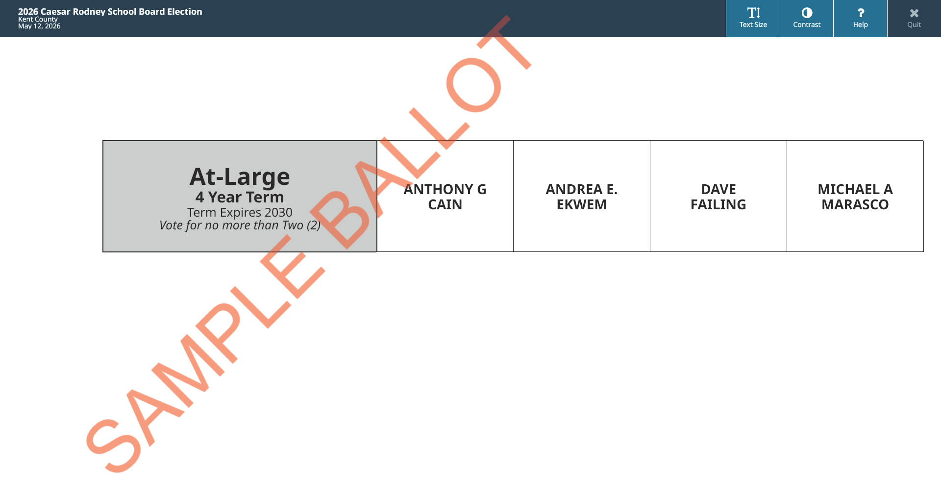 sample ballot screen